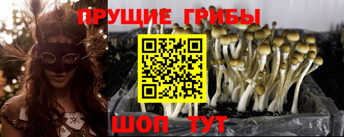 Галлюциногенные грибы ЛСД  Вход с VPN  Псилоцибиновые грибы Magic Shrooms  Новый Уренгой 